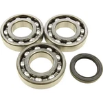 Balls 24-1076 Crankshaft Bearing Kit. Fixed Price $95.43.