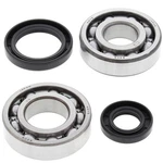 Balls Crank Shaft Bearings 24-1069 Suzuki RM250 82-85. Fixed Price $77.49.