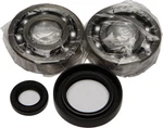 Balls 24-1004 Crankshaft Bearing And Seal Kit. Fixed Price $86.45.