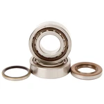 2007-2009 Ktm 250 Xc-f Dirt Bike Hot Rods Main Bearing And Seal Kit. Fixed Price $140.60.
