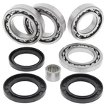 Balls Differential Bearing & Seal Kit Rear #25-2101 Arctic Cat. Fixed Price $72.49.