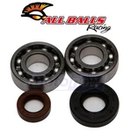 Balls Crank Bearing And Seal Kit For 2002-2007 Ktm 50 Mini Adventure Hn. Fixed Price $76.48.