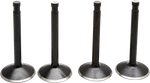 Kibblewhite 20-22400 Engine Valve Kit. Fixed Price $117.85.