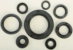 Vertex 822110 Oil Seal Set. Fixed Price $33.00.