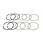 Hastings 6482030 Cast Ring Set (1200CC), .030IN. Oversize Hd '54-'77. Fixed Price $56.17.