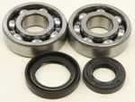 Balls Crankshaft Bearing/seal Kit 24-1075. Fixed Price $79.56.