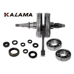 Rebuild Engine Kit For Yamaha YZ250F 03 13 Crank Shaft Main Bearings Oil Seals. Fixed Price $319.65.