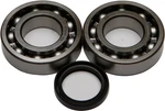 Balls 24-1081 Crankshaft Bearing And Seal Kit. Fixed Price $57.79.