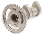 Hot Stage Intake Camshaft 2081-1IN. Fixed Price $238.46.