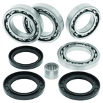 Quadboss Fits 13-15 Arctic Wildcat 1000 Rear Differential Bearing & Seal. Fixed Price $106.95.