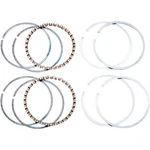 Hastings Piston Ring Set - 1200 +0.020" 2M6482020. Fixed Price $79.82.