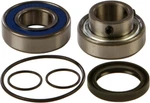 Balls Chain Case Bearing And Seal Kits 14-1033. Fixed Price $55.10.