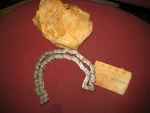 Nos Honda 1961-67 Super Hawk 305 Primary Drive Chain 56 Link. Fixed Price $101.56.