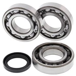 Balls Crank Bearing And Seal Kit 24-1089 For Polaris Atp 500 4X4. Fixed Price $81.13.