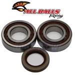 Balls Crank Bearing And Seal Kit For 2000-2002 Ktm 520 Sx Engine Pe. Fixed Price $188.15.