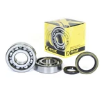 Pro X Crankshaft Bearing And Seal Kit 23.CBS33096. Fixed Price $85.95.