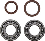 Moose Racing 24-1123 Crank Bearing And Seal Kit Beta 350 Rr 4T 390 43. Fixed Price $38.95.