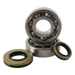 Hot Rods Main Bearing & Seal Kits For Suzuki Rm 250 0304 K044. Fixed Price $149.82.