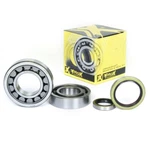 Pro-x 23.CBS63004 Crankshaft Bearing And Seal Kit Ktm 250 Sx 2004-2019 Stroke. Fixed Price $120.99.