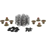 Kibblewhite High-performance Ovate Wire Beehive Valve Spring Kits 20-24400. Fixed Price $422.99.