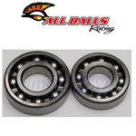 Balls Crank Bearing And Seal Kit For 1987-1989 Suzuki LT300E Engine To. Fixed Price $84.47.