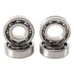 Hot Rods Counter Balancer Bearing Kit BBK0008 YFM700R Raptor 06-18. Fixed Price $89.25.