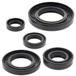 Winderosa Complete Oil Seal Set Honda Bike 822165 Dirt Engine Gaskets XR650L. Fixed Price $31.71.