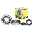 Pro X Crankshaft Bearing And Seal Kit 23.CBS43002. Fixed Price $181.99.