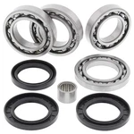 New Balls Racing Differential Kit 25-2101 For Arctic Wildcat 1000 Ltd 13. Fixed Price $72.49.