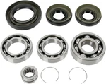 Moose Racing A25-2001 Differential Bearing And Seal Kit. Fixed Price $74.95.