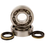 2005-2008 Suzuki Rm 250 Dirt Bike Hot Rods Main Bearing And Seal Kit. Fixed Price $98.22.
