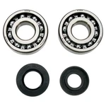 Balls Crank Bearing And Seal Kit For 1984-1987 Kawasaki KXT250 Tecate Atv. Fixed Price $86.32.