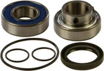 Balls Chain Fits Case Bearing & Seal Kit 14-1033. Fixed Price $58.00.