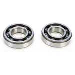 Pro X Crankshaft Bearing Kit. Fixed Price $120.99.