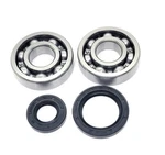 RM250 Main Crank Shaft Bearings & Seals Kit 89 90 91 92 93 Suzuki. Fixed Price $38.99.