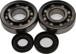 Balls 24-1047 Crank Bearing And Seal Kit. Fixed Price $71.89.