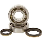 Hot Rods Crank Bearings And Seals Kit K229. Fixed Price $87.04.