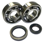Crankshaft 89-08 Bearing Seal Kit Suzuki RM125 125CC P400510444002 Koyo 2-STROKE. Fixed Price $81.71.