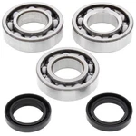 Balls Crank Shaft Bearings 24-1084 Polaris 300 2X4 94-95, 4X4 New. Fixed Price $113.37.