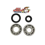 Balls 24-1069 Crankshaft Bearing And Seal Kit. Fixed Price $66.14.