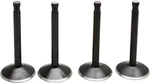 Kibblewhite Black Diamond Valve Kit 20-22500 Harley Davidson. Fixed Price $109.84.