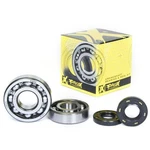 Pro Crankshaft Bearing And Seal Kit CSB1WUF-X001-Y057. Fixed Price $65.59.