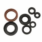 Tusk Engine Oil Seal Kit Fits: Honda Trx 400EX 1999-2004. Fixed Price $23.07.
