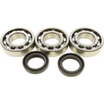 Balls 24-1078 Crankshaft Bearing Kit. Fixed Price $102.36.