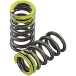 Xceldyne Intake Valve Springs PSIMX2104. Fixed Price $57.38.