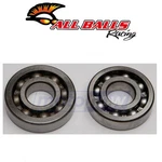 Balls Crank Bearing And Seal Kit For 1980-1984 Honda XR200 Engine Za. Fixed Price $69.80.