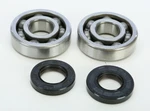 Pro X Crankshaft Bearing And Seal Kit 23.CBS22005. Fixed Price $56.99.