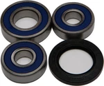 Balls Wheel Bearing And Seal Kit Rear 25-1287. Fixed Price $44.47.
