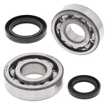 Balls Crank Shaft Bearing Kit For 1989-1994 Suzuki RMX250. Fixed Price $134.59.