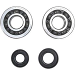 Pro-x 23.CBS43087 Crankshaft Bearing And Seal Kit. Fixed Price $80.95.